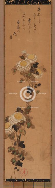 Chrysanthemums, 18th-19th century. Creator: Ogata Kenzan.