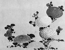 Chrysanthemums, 19th century. Creator: Hokusai School