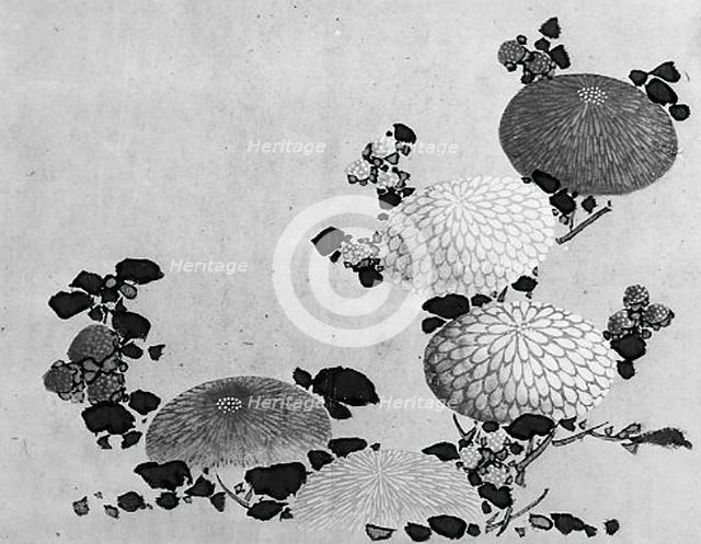 Chrysanthemums, 19th century. Creator: Hokusai School.