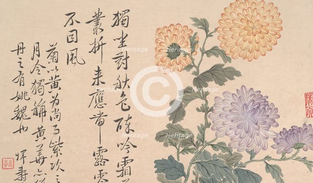 Chrysanthemums. Creator: Unknown.