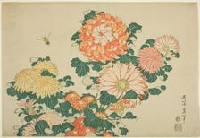 Chrysanthemums and Bee, from an untitled series of Large Flowers, Japan, c. 1831-33. Creator: Hokusai