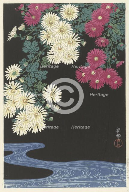 Chrysanthemums and Running Water, 1925-1936. Creator: Ohara, Koson (1877-1945).