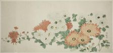 Chrysanthemums, c. 1780. Creator: Isoda Koryusai