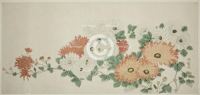 Chrysanthemums, c. 1780. Creator: Isoda Koryusai.