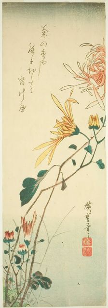 Chrysanthemums, c. 1840. Creator: Ando Hiroshige