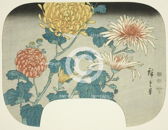 Chrysanthemums, c. 1840s. Creator: Ando Hiroshige.
