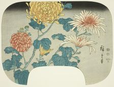 Chrysanthemums, c. 1840s. Creator: Ando Hiroshige