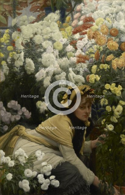 Chrysanthemums, c. 1875.