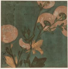 Chrysanthemums, Edo period, late 16th-early 17th century. Creator: Hon'ami Kôetsu