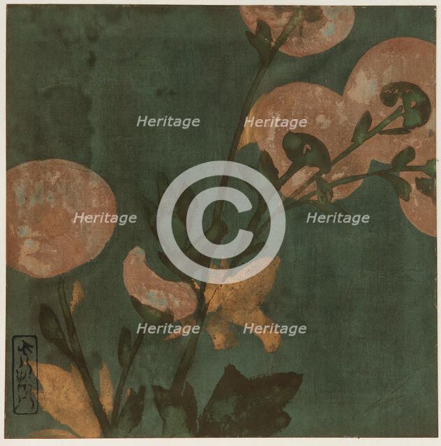 Chrysanthemums, Edo period, late 16th-early 17th century.  Creator: Hon'ami Kôetsu.