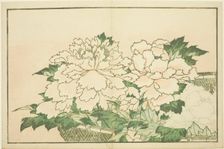 Chrysanthemums in a Basket, from The Picture Book of Realistic Paintings of Hokusai..., c. 1814. Creator: Hokusai