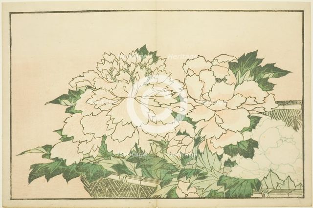 Chrysanthemums in a Basket, from The Picture Book of Realistic Paintings of Hokusai..., c. 1814. Creator: Hokusai.