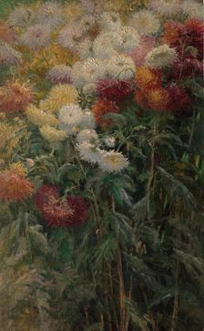 Chrysanthemums in the Garden at Petit-Gennevilliers, 1893. Creator: Gustave Caillebotte