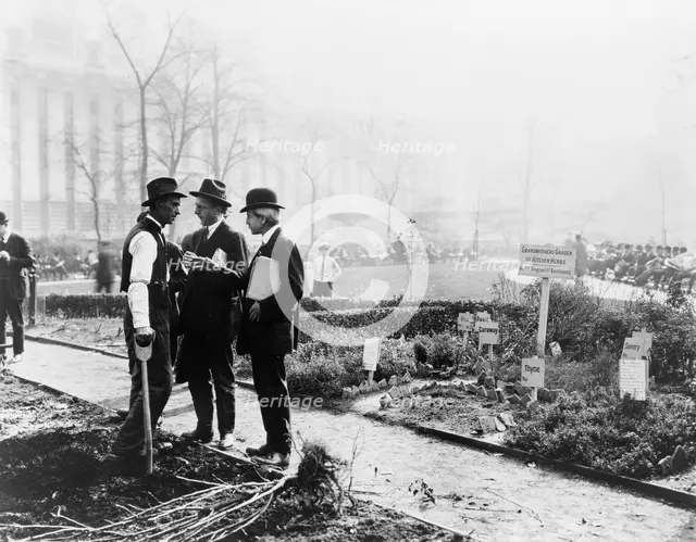 City experiment in gardening, New York City, c1922. Creator: Frances Benjamin Johnston.