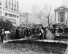 City experiment in gardening, New York City, c1922. Creator: Frances Benjamin Johnston