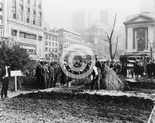 City experiment in gardening, New York City, c1922. Creator: Frances Benjamin Johnston.