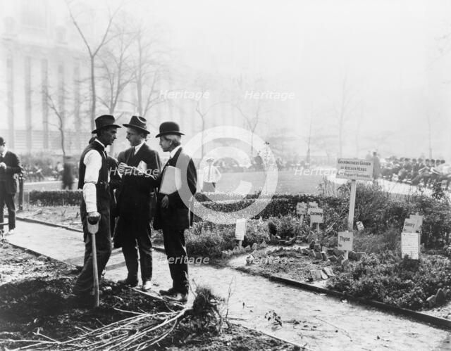 City experiment in gardening, New York City, c1922. Creator: Frances Benjamin Johnston.