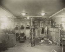 City Gardens Club of New York City Exhibition at the International Flower Show, March, 1921. Creator: Frances Benjamin Johnston