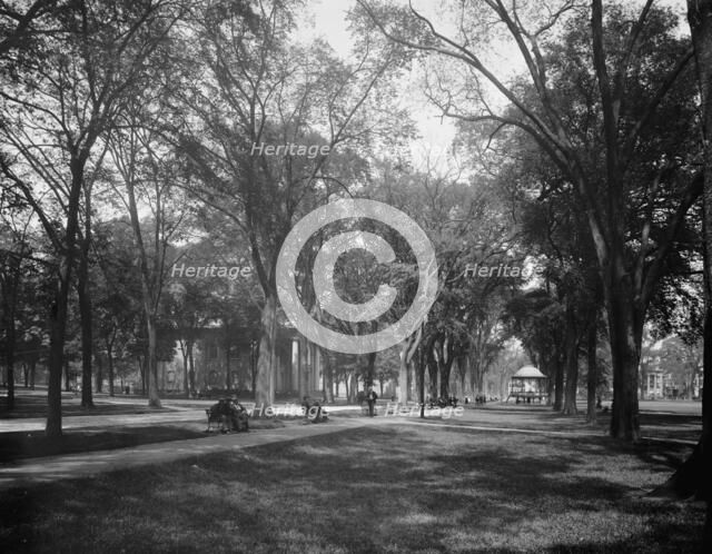 City Green, New Haven, between 1900 and 1906. Creator: Unknown.