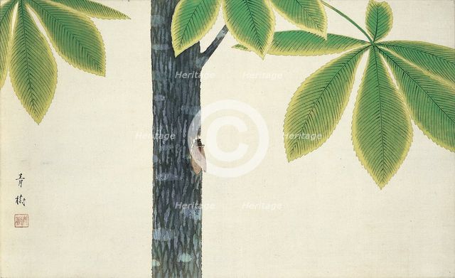 Cicada, 1930. Creator: Omoda, Seiju (1891-1933).