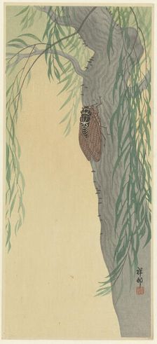Cicada on tree. Creator: Ohara, Koson (1877-1945)