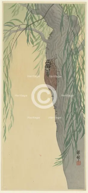 Cicada on tree. Creator: Ohara, Koson (1877-1945).