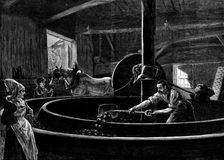 Cider-making in Normandy, 1873. Creator: Jenkin