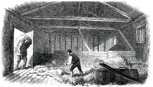 Cider-Making in Devonshire - Laying the Fruit, 1850. Creator: Unknown