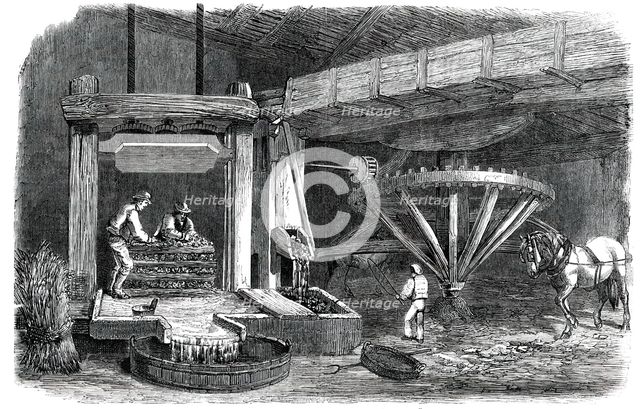 Cider-Making in Devonshire - Pound-House - the Mill and Press - Piling "The Mock", 1850. Creator: Unknown.
