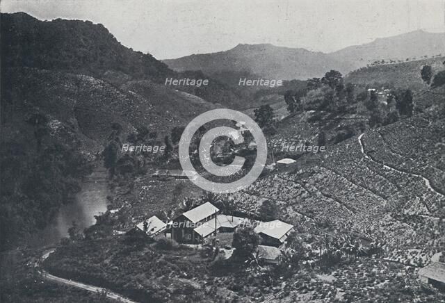 'Cingalese Tea Plantation', 1924. Artist: Unknown.