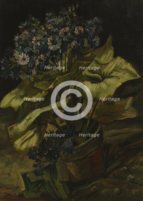 Cineraria, 1886. Artist: Gogh, Vincent, van (1853-1890)