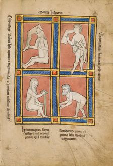 Cinomologus; Anthropophagus; Himantopode; Artabatite; De Natura Avium, 1277 or after. Creator: Unknown
