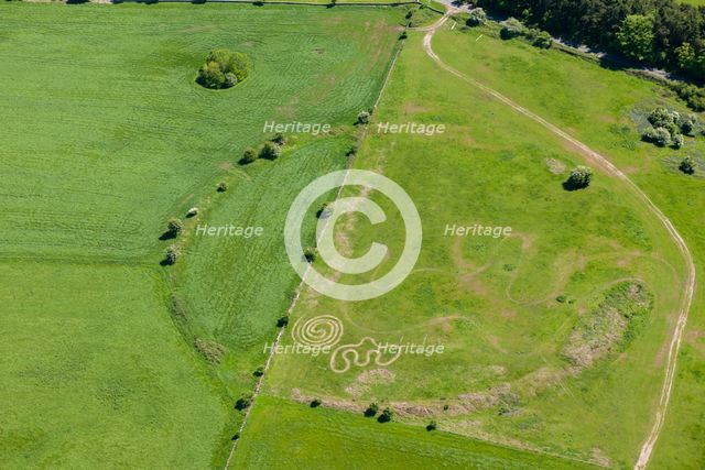 Circle 1, Priddy, Somerset, 2015. Artist: Damian Grady.