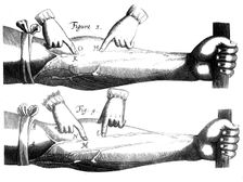 Circulation of the blood, 1628. Creator: Unknown