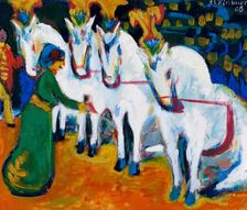 Circus horses dressage, 1908-1909