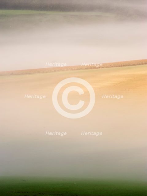 Cissbury Ring, Findon, Worthing, West Sussex, 2010. Creator: James O Davies.