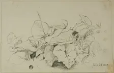 Clump of Leaves and Flowers, 1808/47. Creator: Joshua Cristall