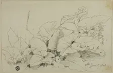Clump of Leaves and Flowers, 1808/47. Creator: Joshua Cristall
