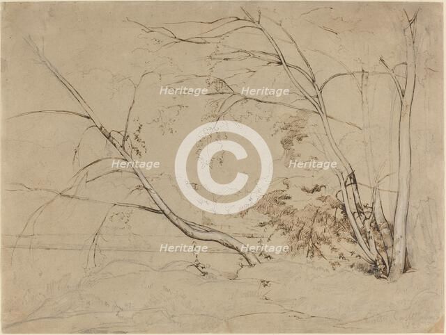 Clump of Trees at Civita Castellana, 1826. Creator: Jean-Baptiste-Camille Corot.