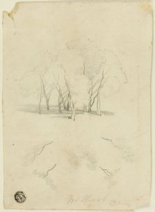 Clump of Trees, n.d. Creator: James Duffield Harding