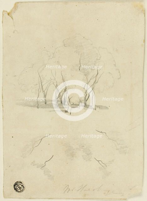 Clump of Trees, n.d. Creator: James Duffield Harding.