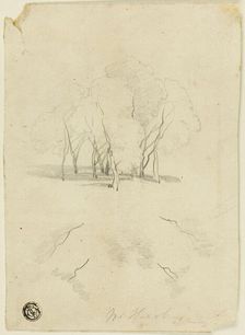 Clump of Trees, n.d. Creator: James Duffield Harding