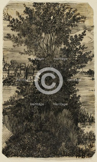 Clump of Trees with a Village in the Distance, 1861. Creator: Rodolphe Bresdin.