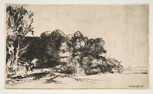 Clump of Trees with a Vista, 1652. Creator: Rembrandt Harmensz van Rijn
