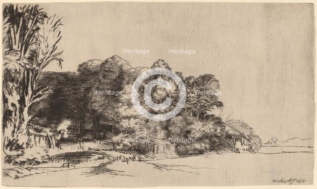 Clump of Trees with a Vista, 1652. Creator: Rembrandt Harmensz van Rijn.