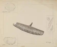 Clam Rake, c. 1936. Creator: William Mills