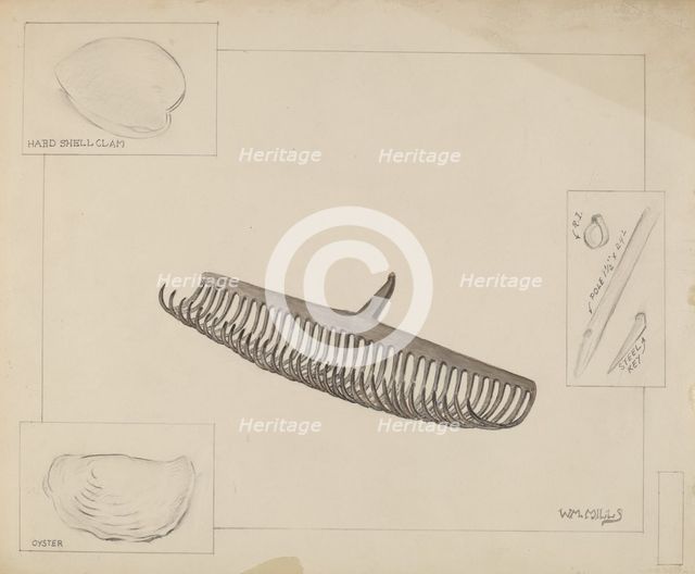 Clam Rake, c. 1936. Creator: William Mills.