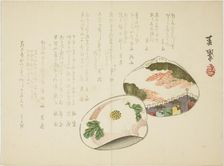 Clam Shells, 1860s. Creator: Yabu Chosui