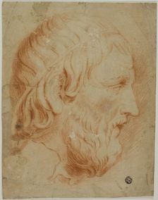 Classical Profile of Bearded Man, n.d. Creator: Unknown