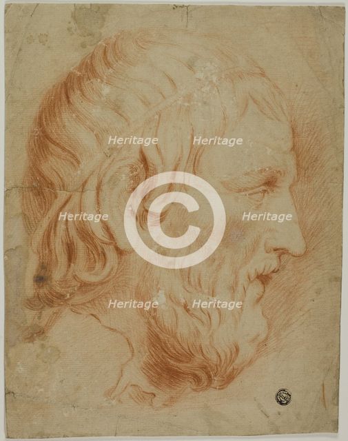 Classical Profile of Bearded Man, n.d. Creator: Unknown.